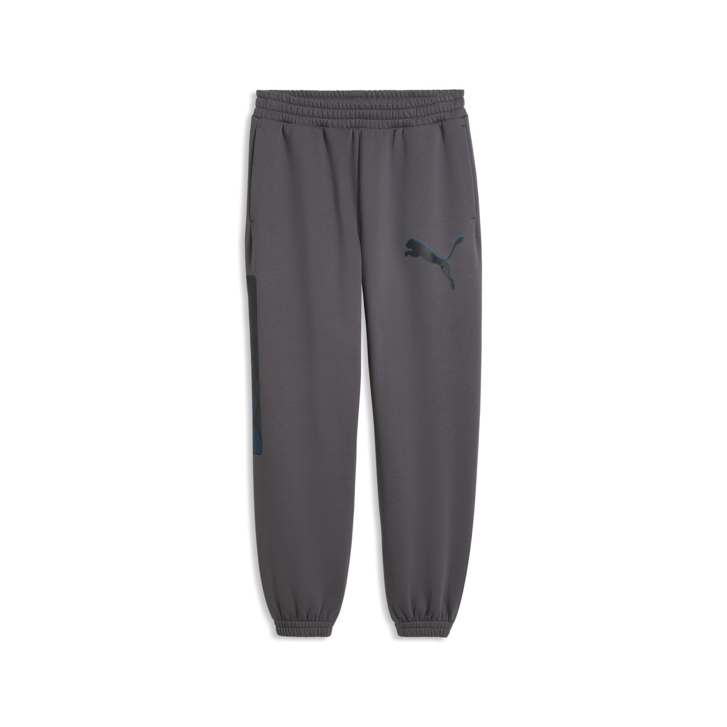 PUMA Regular Sports trousers in Grey: front