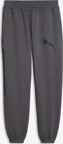 PUMA Sporthose in Grau: Vorderseite