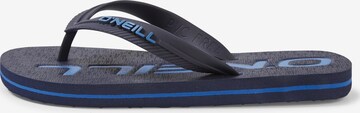 O'NEILL Beach & Pool Shoes in Blue: front