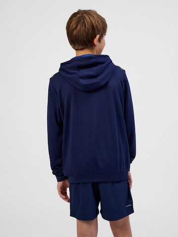 Hummel Sports sweatshirt 'Authentic' in Blue