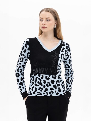 Passioni Sweater in Grey