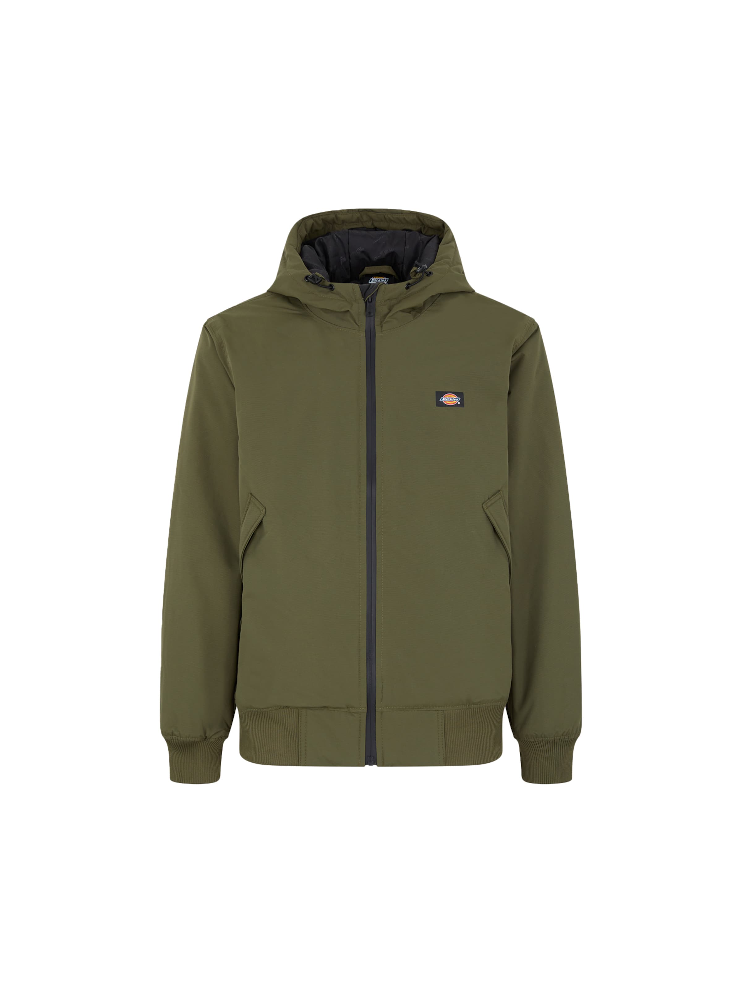 DICKIES Overgangsjakke 'New Sarpy' i grøn: forside