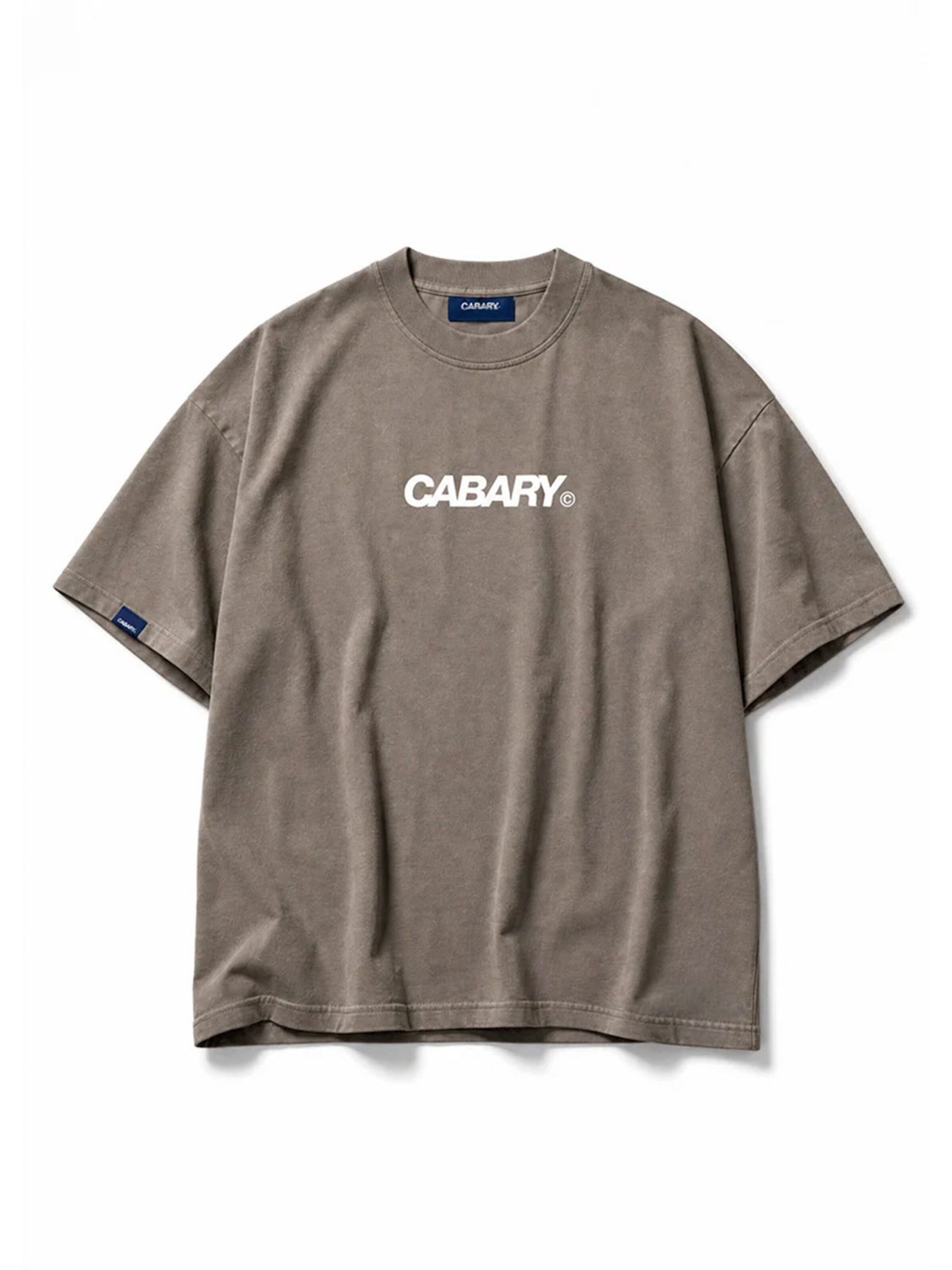 Maglietta 'Camiseta Grey Toxic Oversized' di CABARY in grigio: frontale