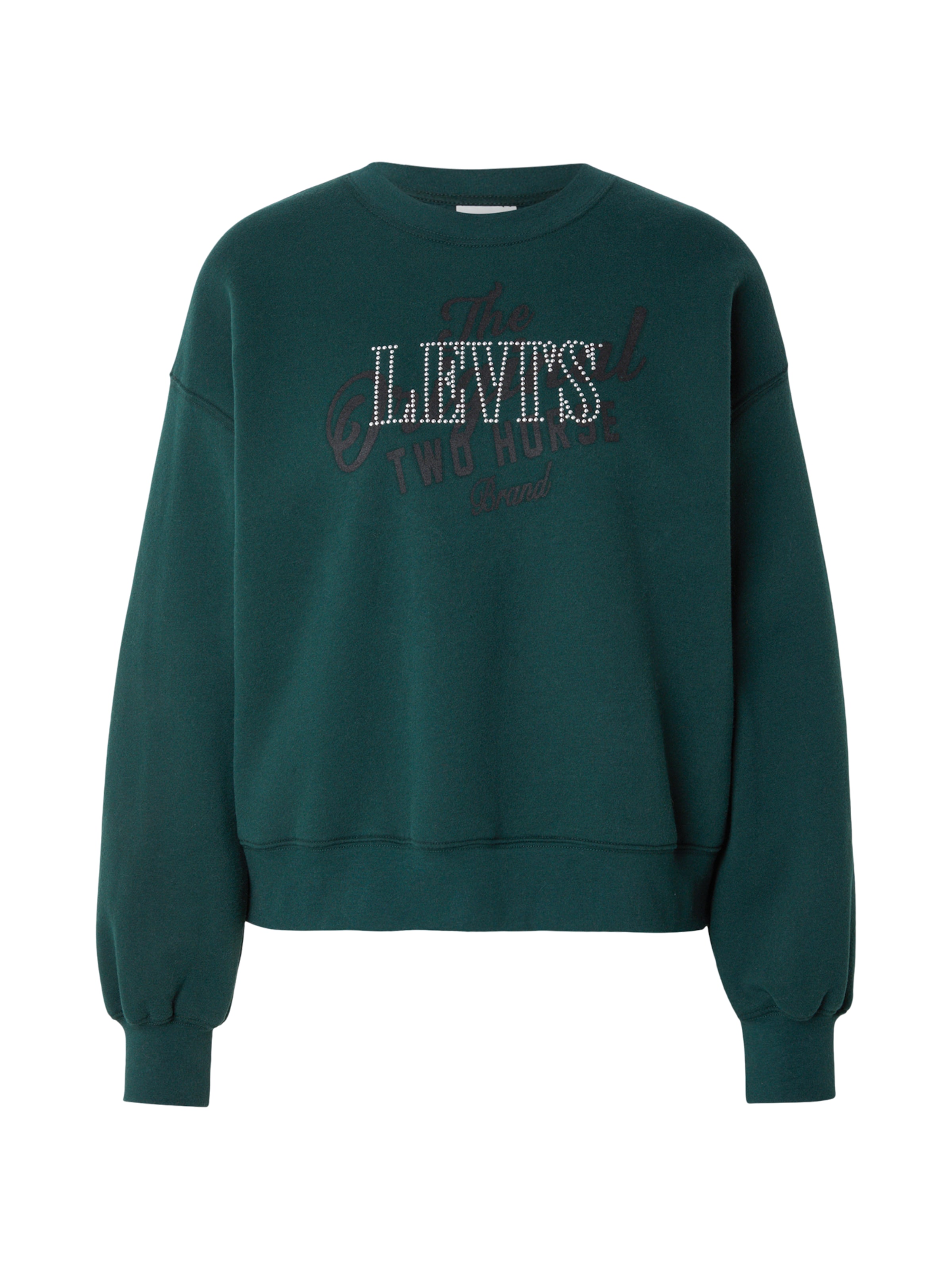 LEVI'S ® Sweatshirt 'EVERYDAY' in XS in Dark green / Black / Silver, Item view