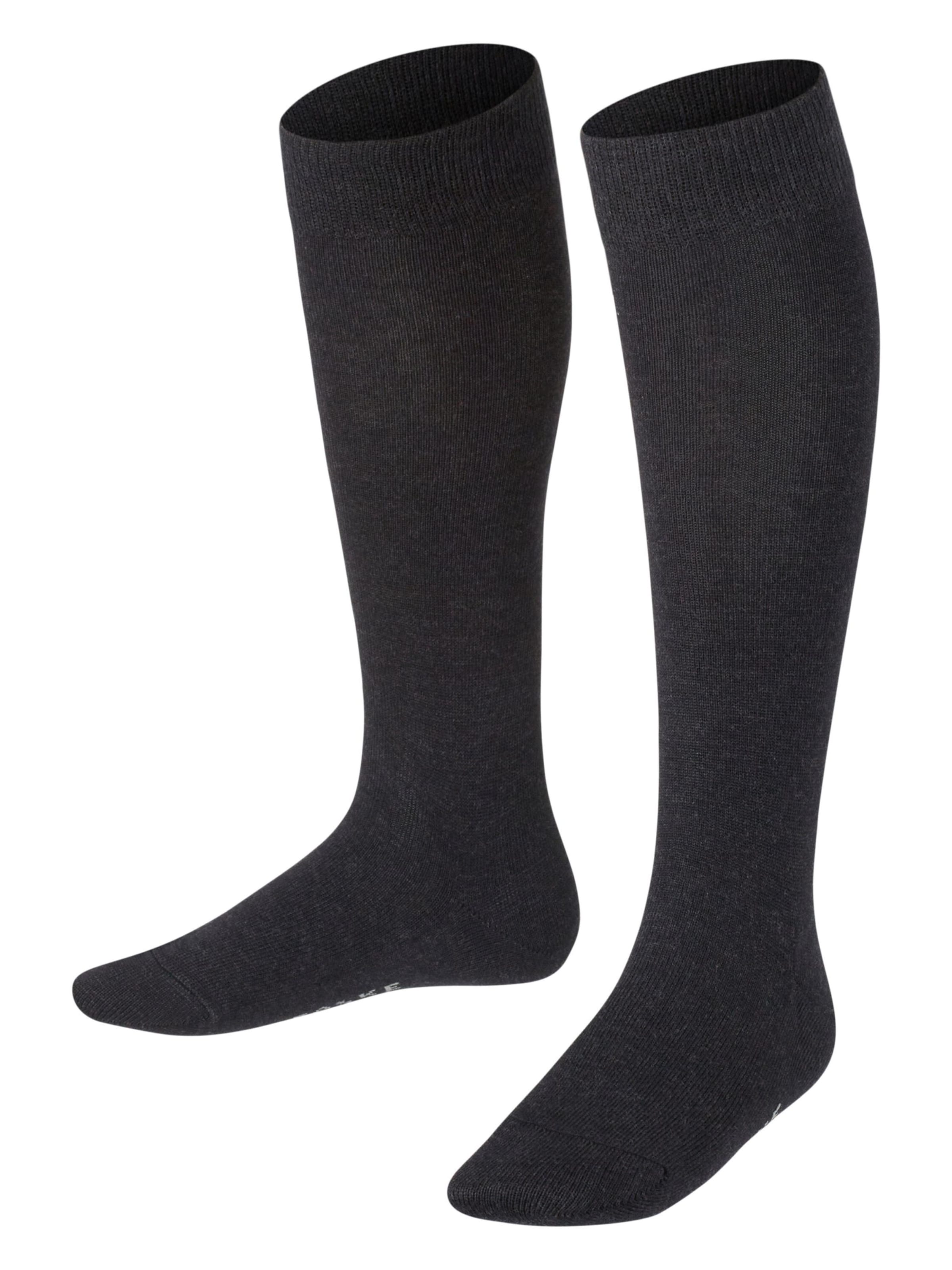 FALKE Socks 'Family' in Grey: front
