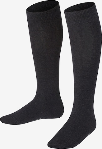 FALKE Socks 'Family' in Grey: front