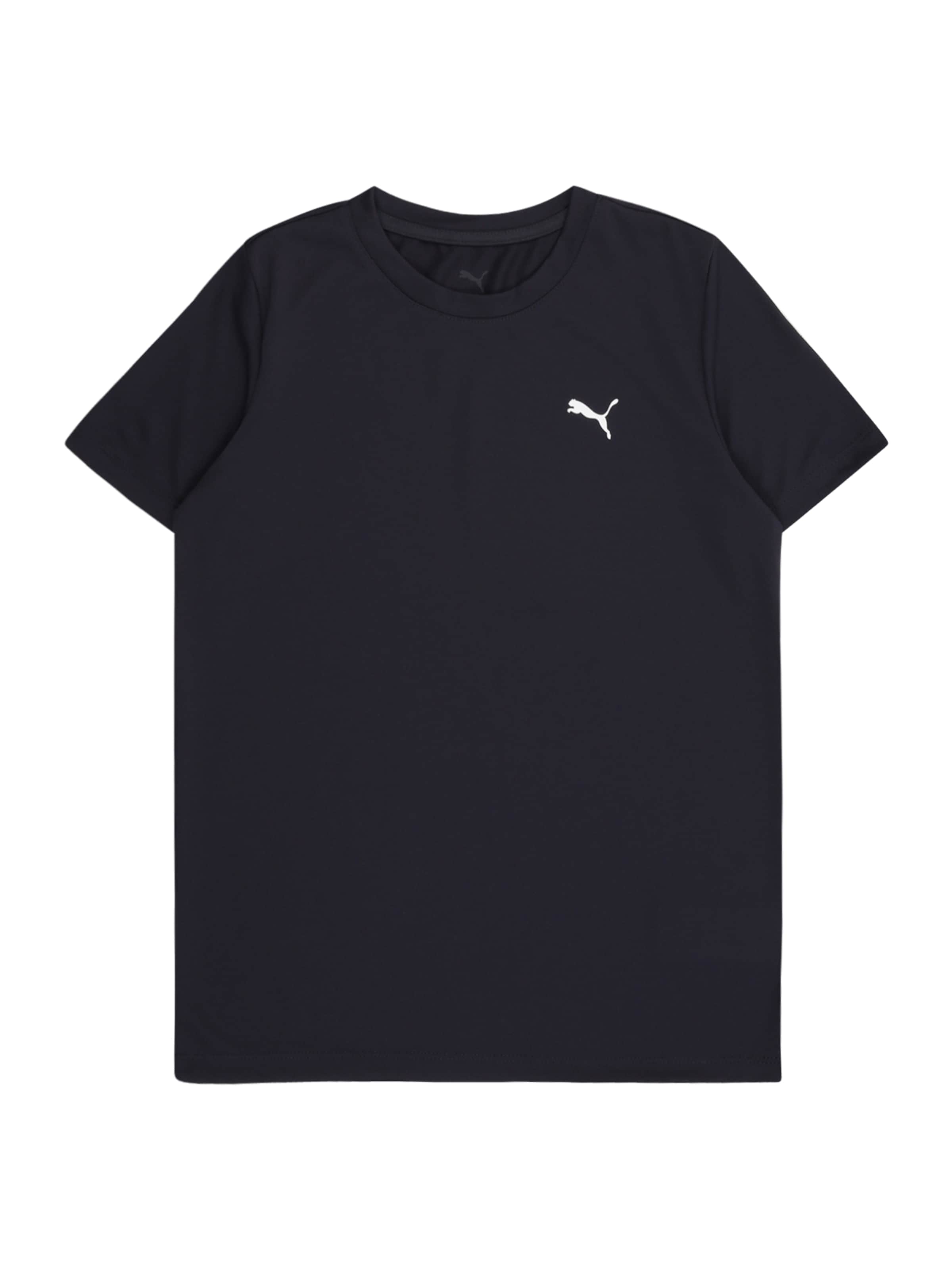 PUMA Funkční tričko 'Tad Ess' – modrá: přední strana