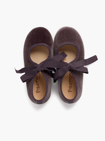 Chaussure basse Pisamonas en gris