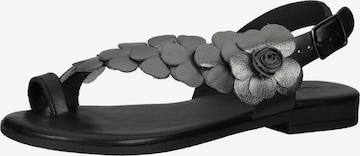 IGI&CO Sandals in Black: front