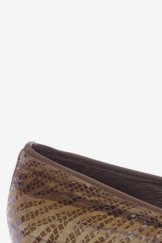 HASSIA Flats & Loafers in 39,5 in Brown
