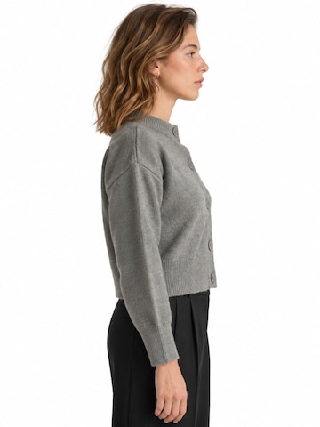 Viorna Knit cardigan 'Strickjacken' in Grey