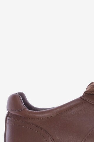 Polo Ralph Lauren Sneaker 42 in Braun