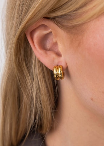 PURELEI Oorbellen 'Flow' in Goud
