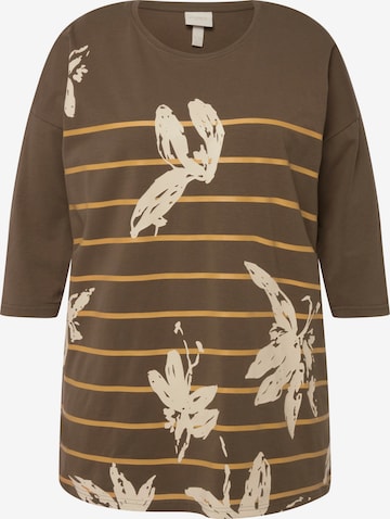 Ulla Popken Shirt in Brown: front