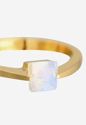 ELLI PREMIUM Ring in Goud