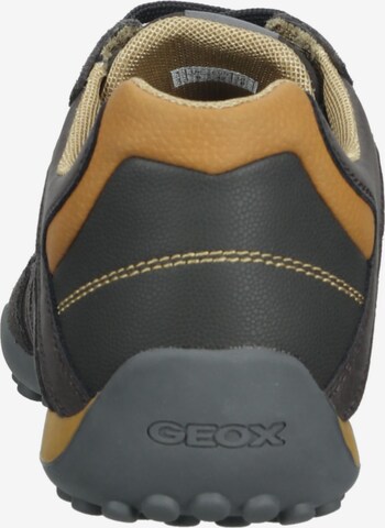 GEOX Sneaker in Grün