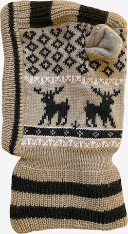 Kumixi Beanie in Beige: front