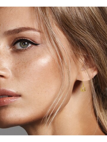 ARS-ARGENTI Earrings in Gold: front