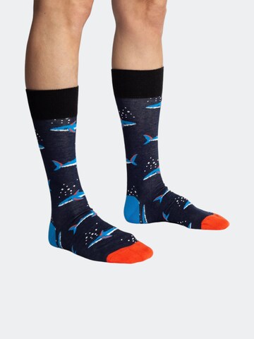 DillySocks Sokken 'Water World' in Gemengde kleuren
