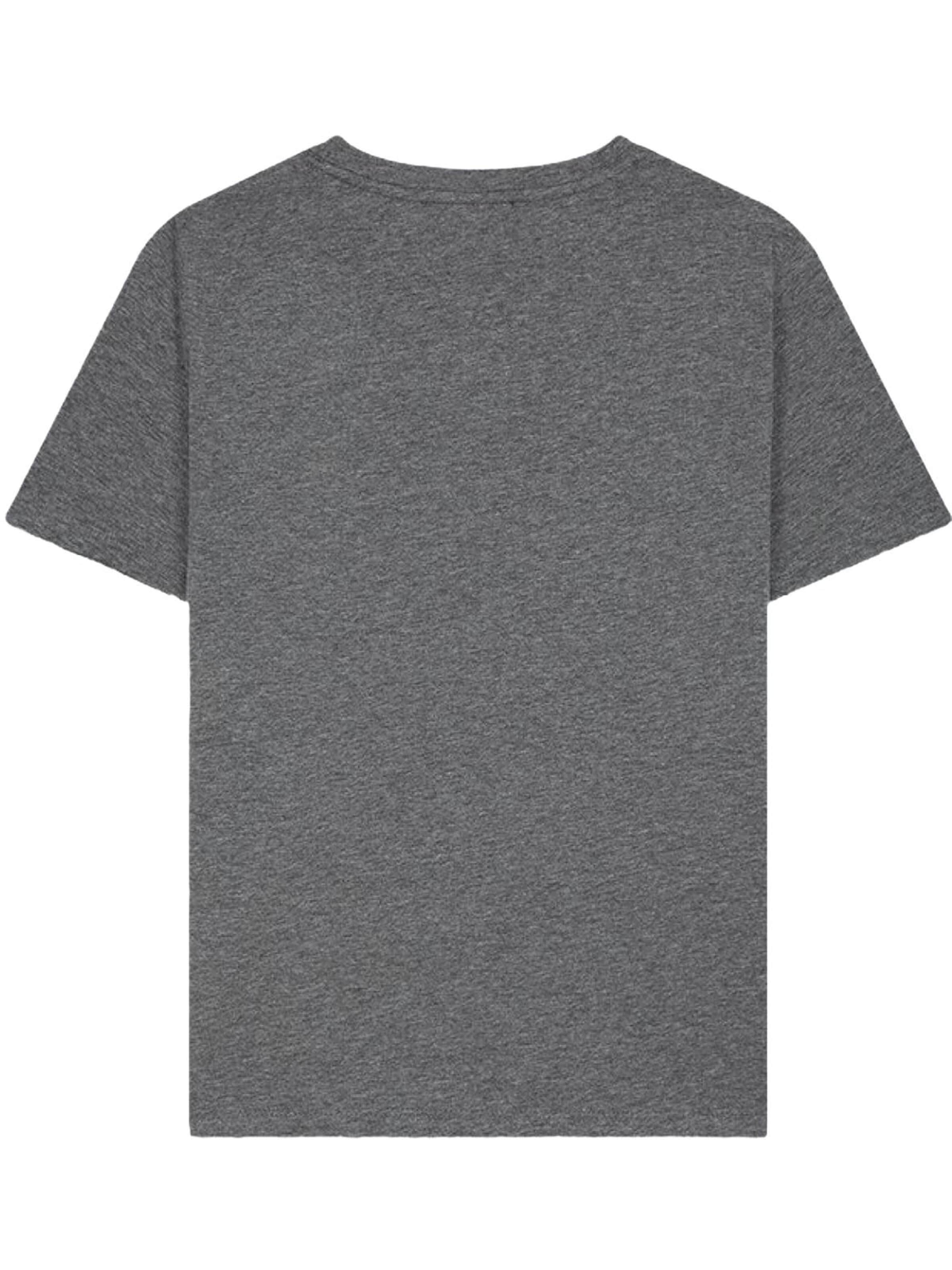 LTB Jeans Shirt 'Basic T-Shirt' in Grey