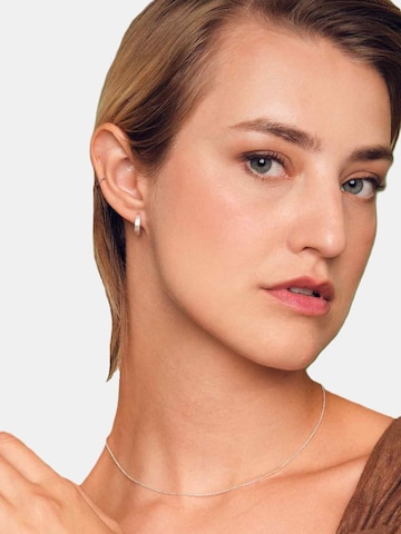 fejn Earrings in Silver
