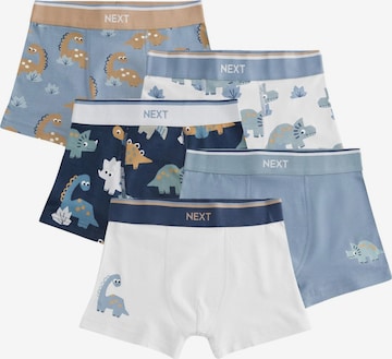 mišri Next Apatinės kelnaitės: priekis