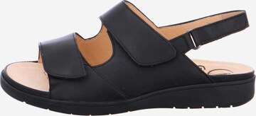 Ganter Sandals in Black