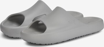 PUMA Sandals 'Shibui Cat' in Grey