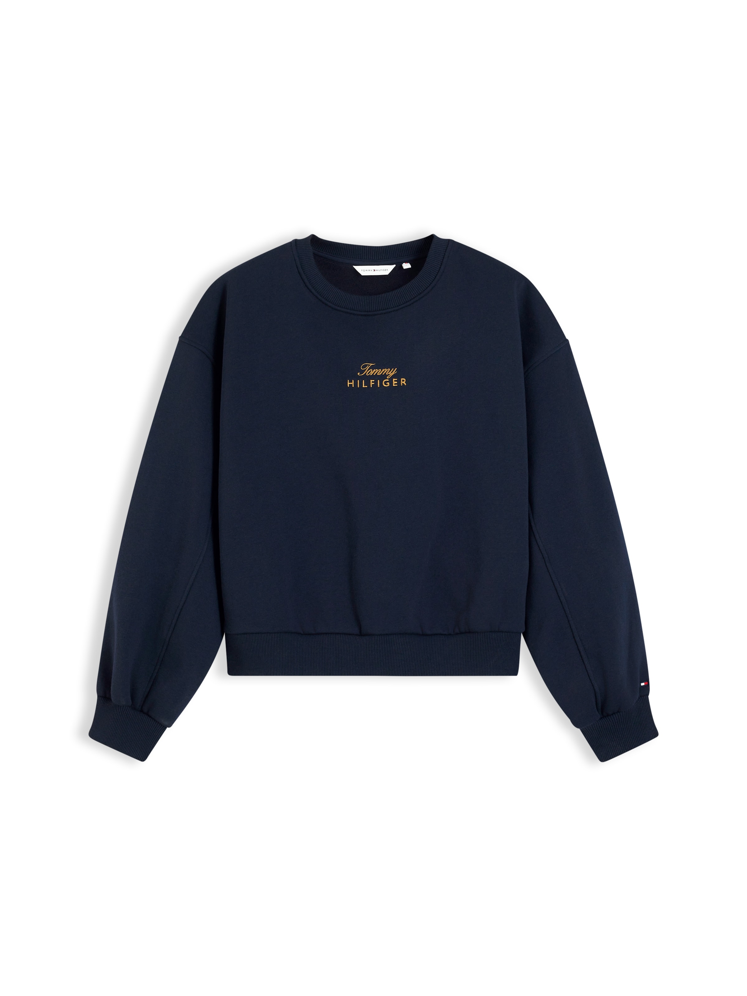 Felpa di TOMMY HILFIGER in blu: frontale