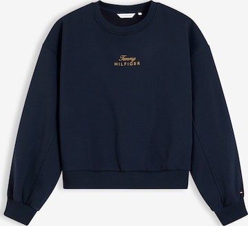 mėlyna TOMMY HILFIGER Megztinis be užsegimo: priekis