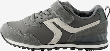 Next Tennarit värissä harmaa: etupuoli