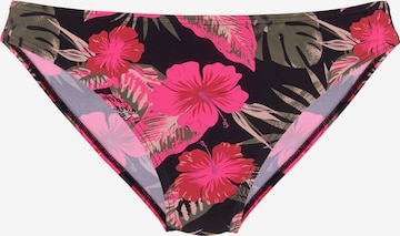 LASCANA Bikini Bottoms 'Elsa' in Mixed colors