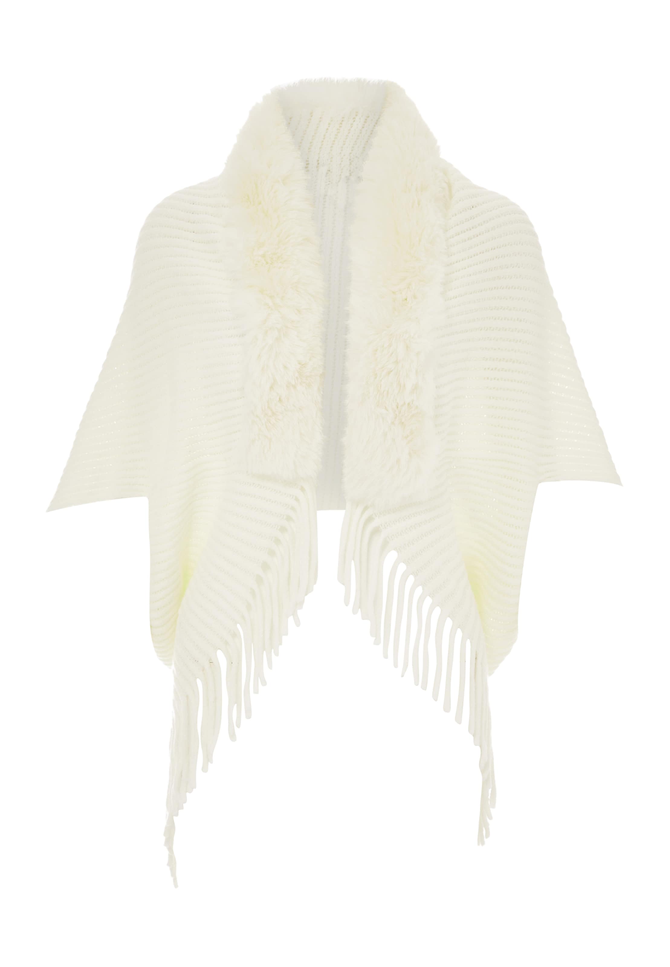 CHANI - Capa em branco: frente