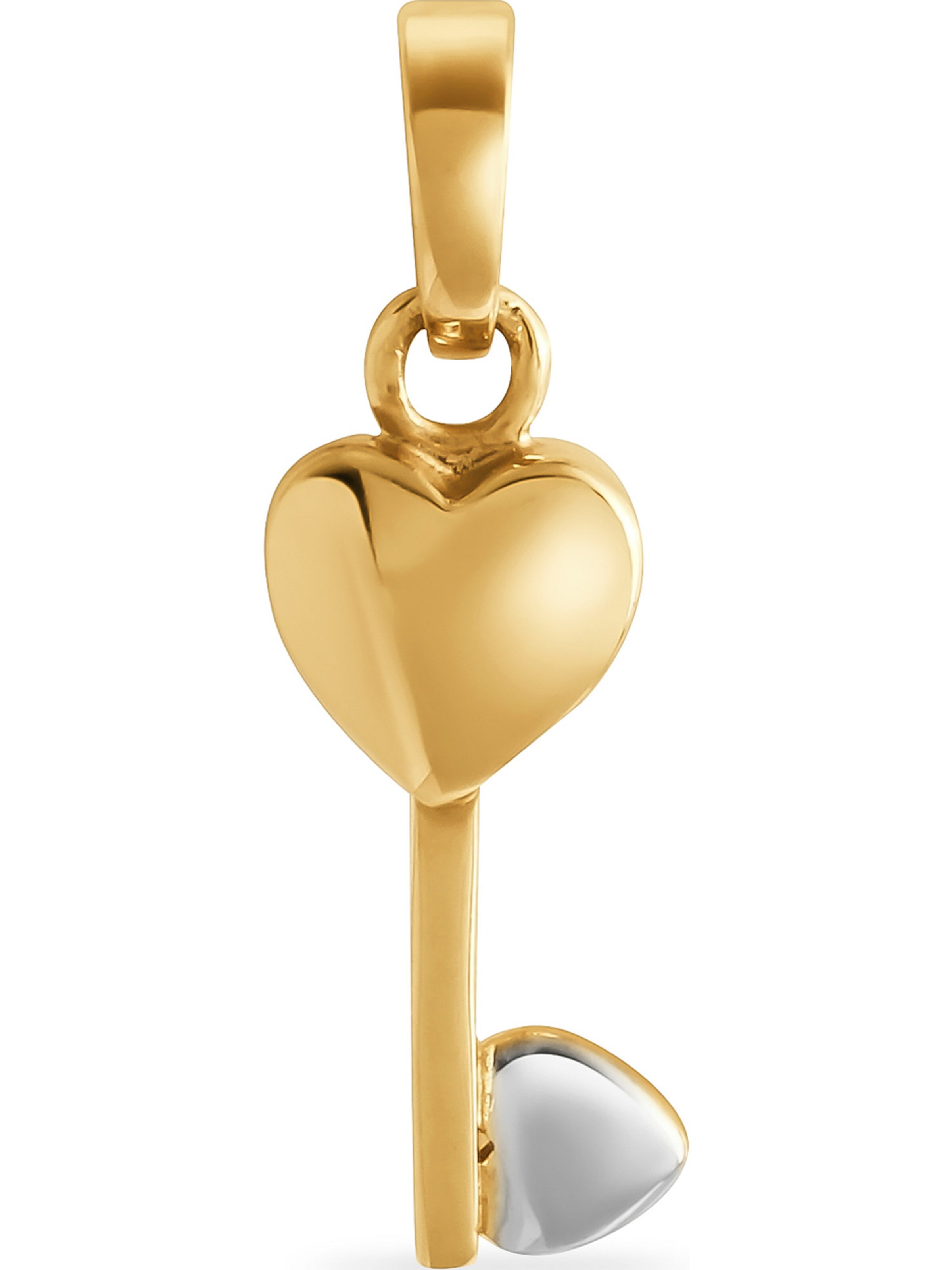 FAVS Anhänger in Gold: Vorderseite