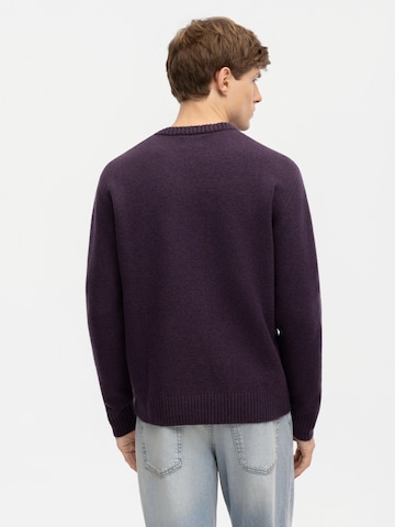 Antargo Sweater 'Bruno' in Purple