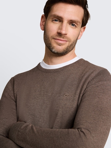 TOM TAILOR Regular Fit Pullover in Braun