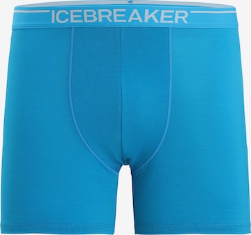 ICEBREAKER - Calzoncillo deportivo 'Anatomica' en azul: frente