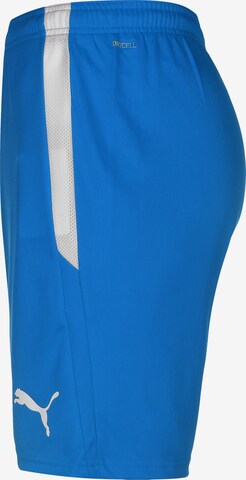 PUMA Regular Sportshorts 'TeamLiga' in Blau