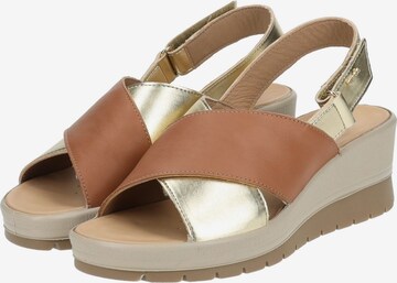 IGI&CO Sandals in Brown