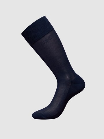 zd ZERO DEFECTS Socks 'Mercerized cotton socks' in Blue: front