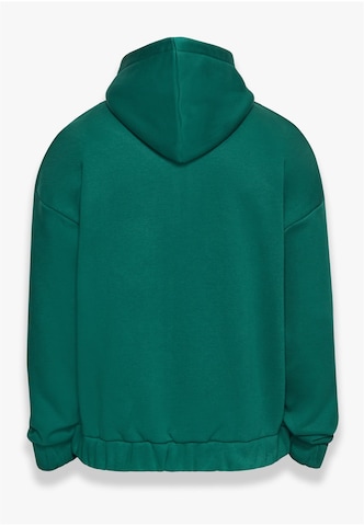 Veste de survêtement Dropsize en vert