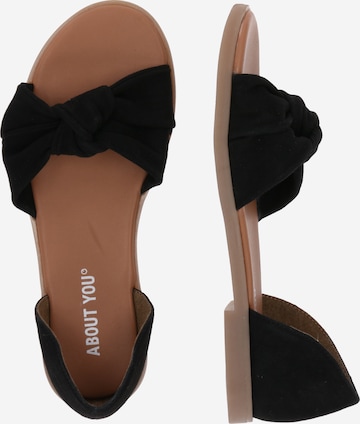 ABOUT YOU Sandals 'Denise' in Black