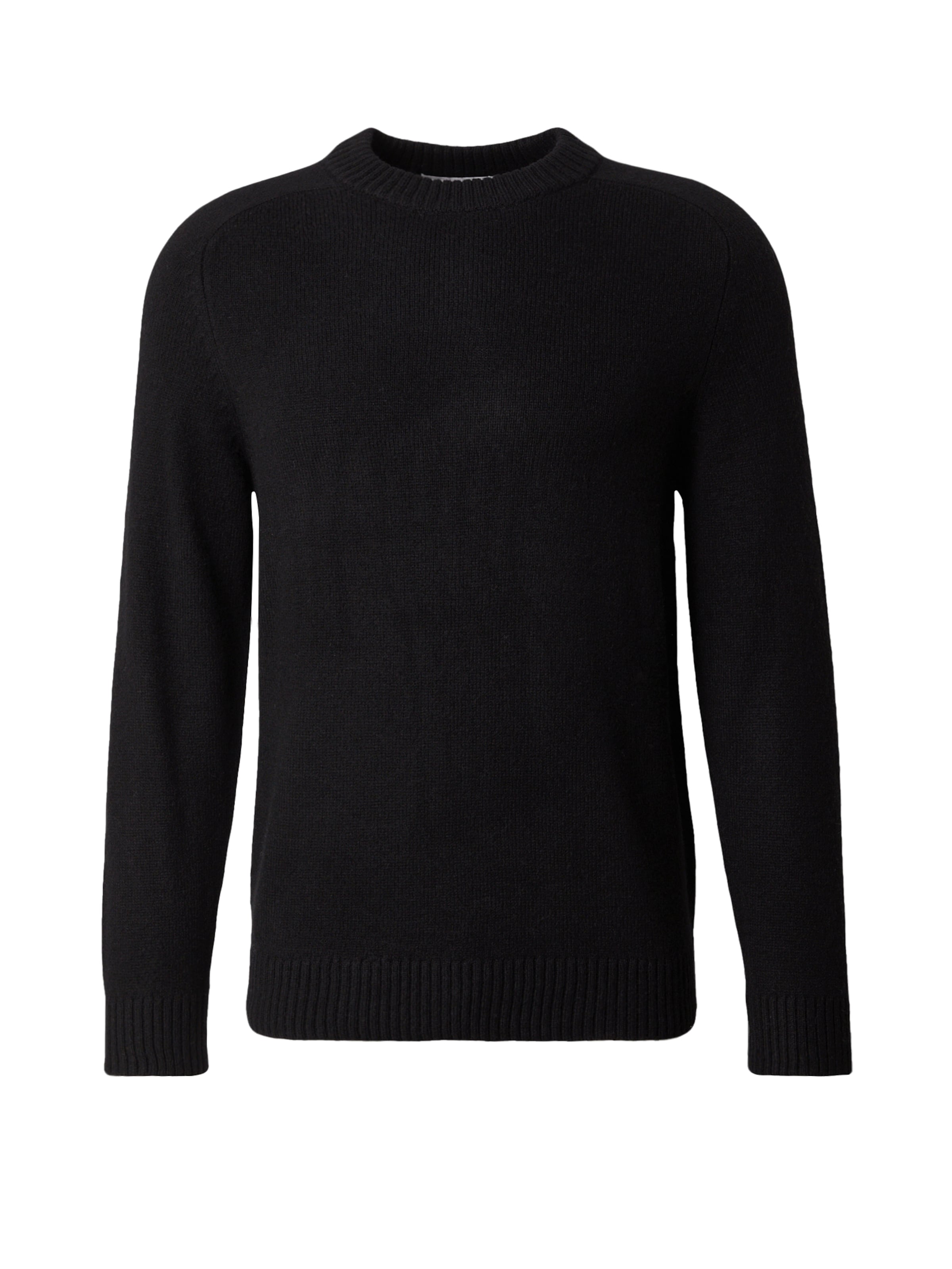 SELECTED Πουλόβερ 'SLHNICO' σε μαύρο: μπροστά