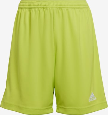 ADIDAS PERFORMANCE Regular Sportshorts 'Entrada 22' in Grün: predná strana