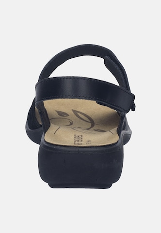 JOSEF SEIBEL Sandal 'Ibiza 86' in Black