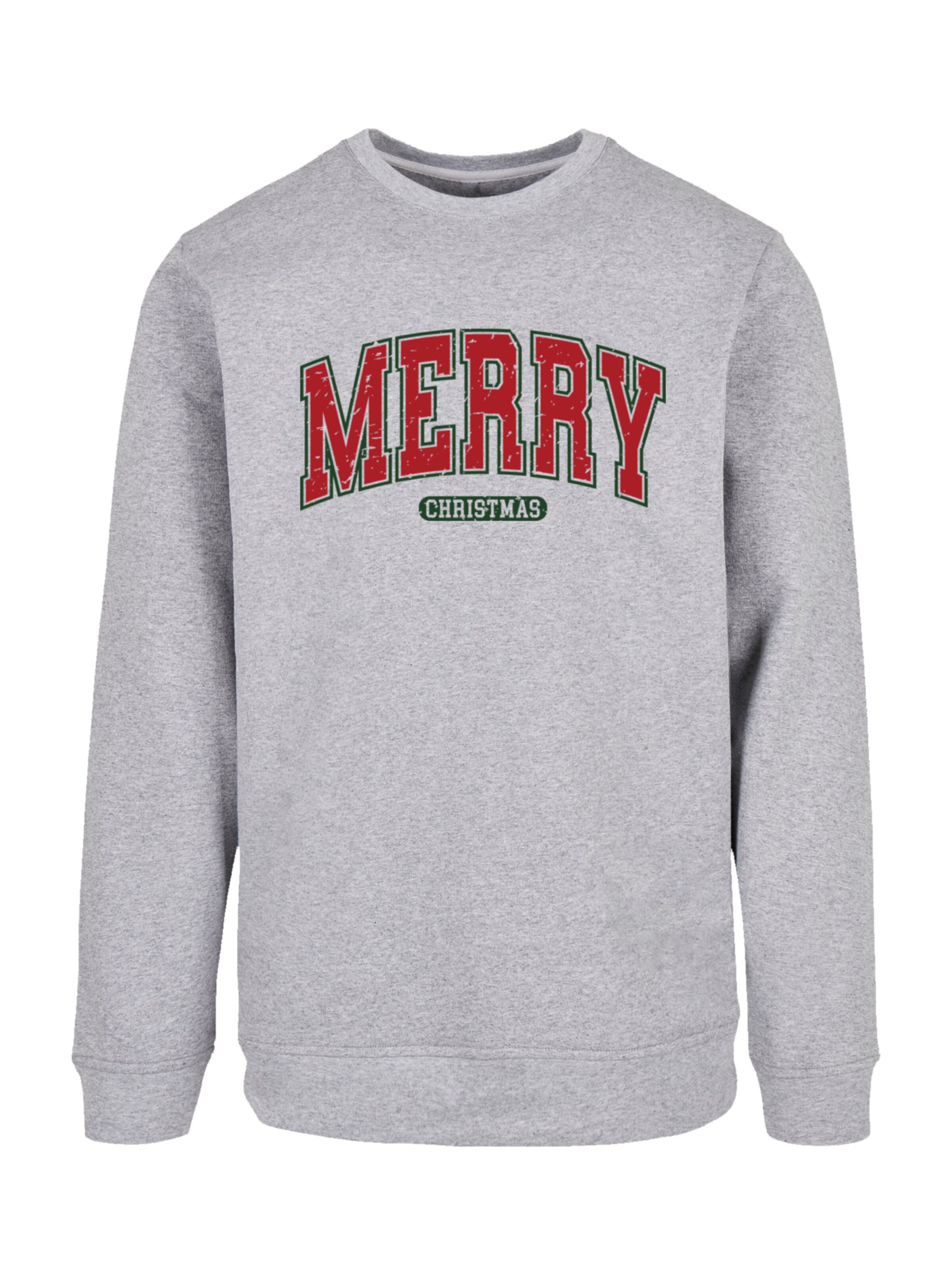 F4NT4STIC Sweatshirt in Grijs: voorkant