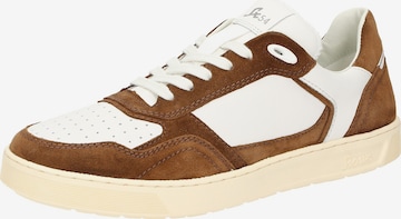 SIOUX Sneakers 'Tedroso-704' in Mixed colors: front