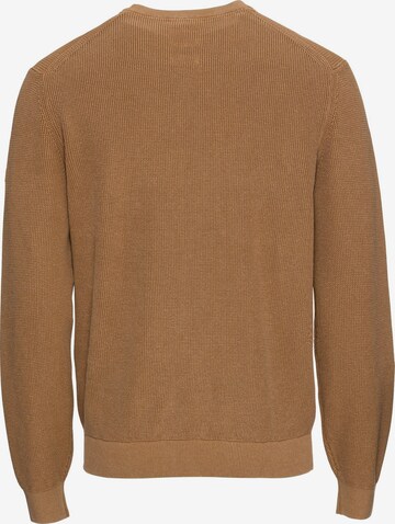 CAMEL ACTIVE Strickpullover aus Bio-Baumwolle in Braun