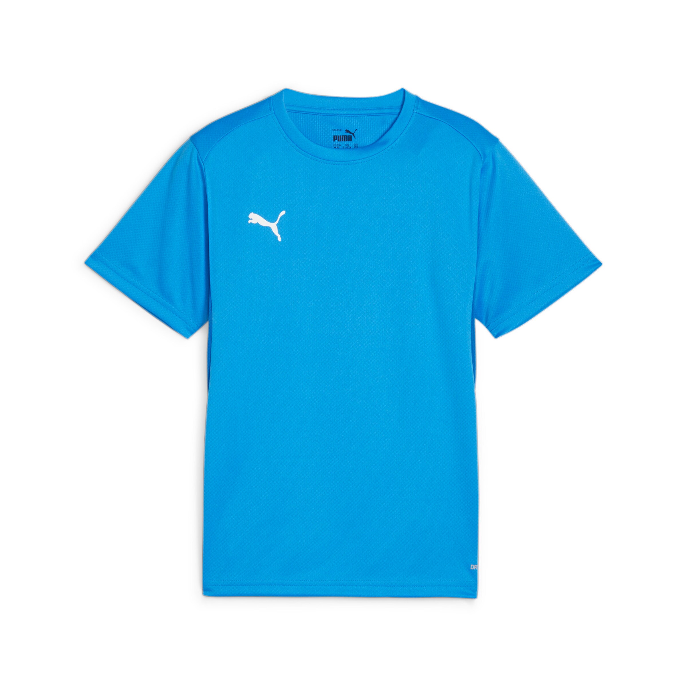 PUMA Funktionsshirt 'TeamGoal' in Blau: Vorderseite