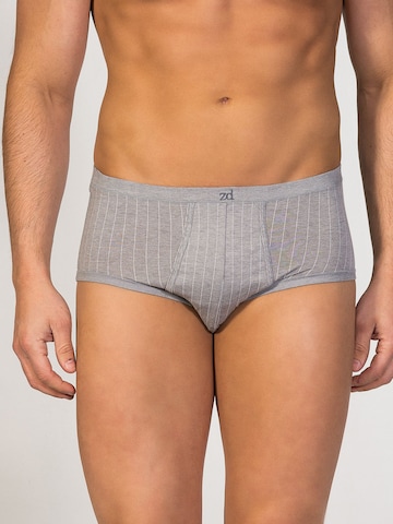 zd ZERO DEFECTS Slip 'Senior Prinstriped Fly Front Brief' in Grau: Vorderseite